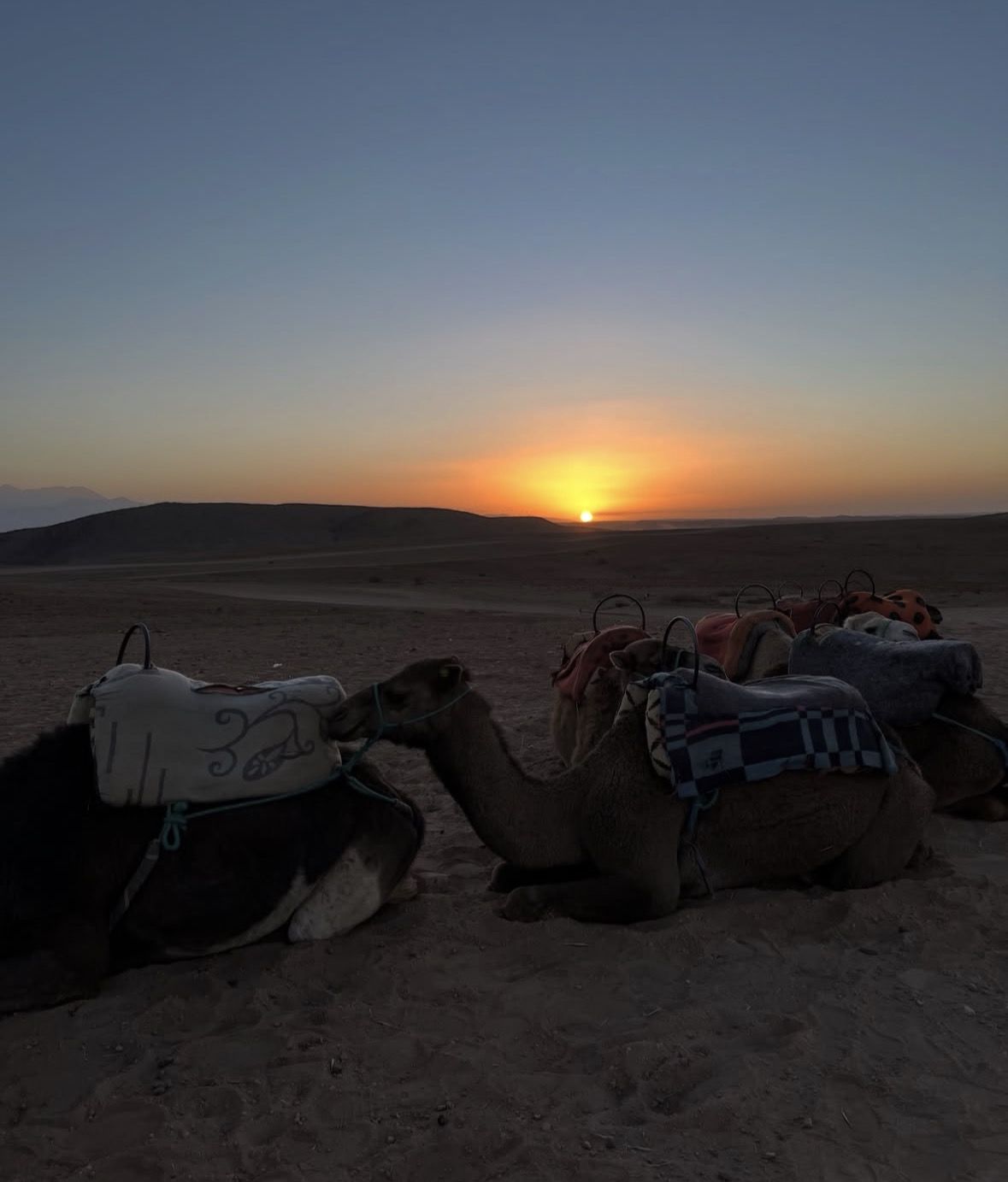 Agafay Desert Sunset Tour